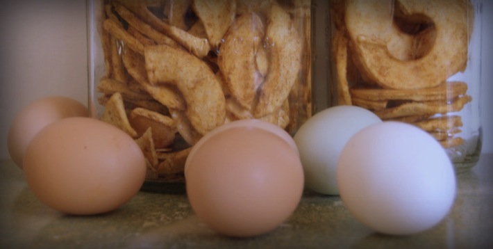 eggs dried apples