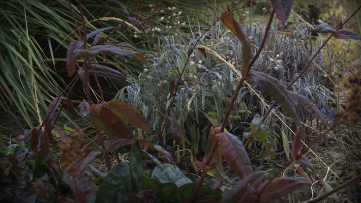 autumn border