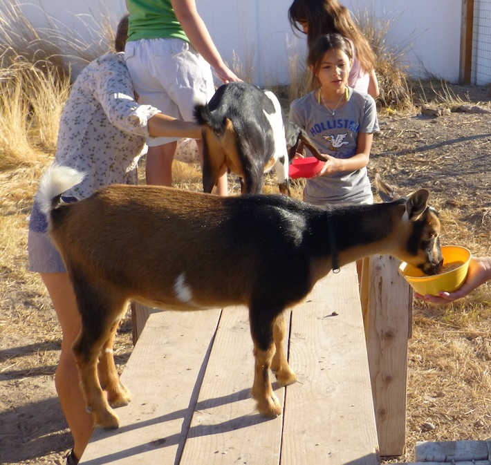 feeding w/Seb's kids