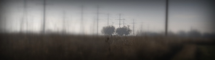 power towers and twin trees