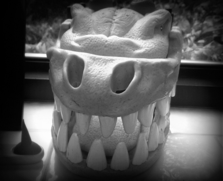 dino-dentures; dental office decor