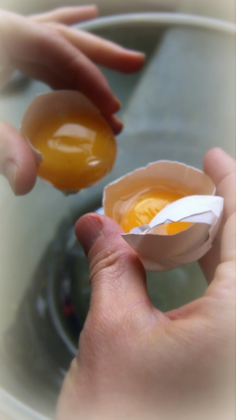 double yolker, double separated