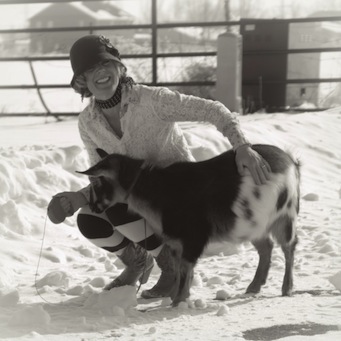 Chagall moment: skirt refashion and a nigerian dwarf goat