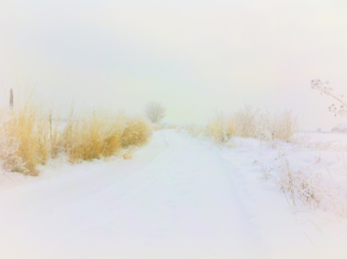 winter requiem, snowy road