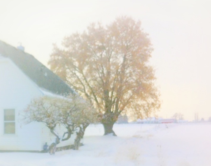 winter farmhouse and tree, winter requiem