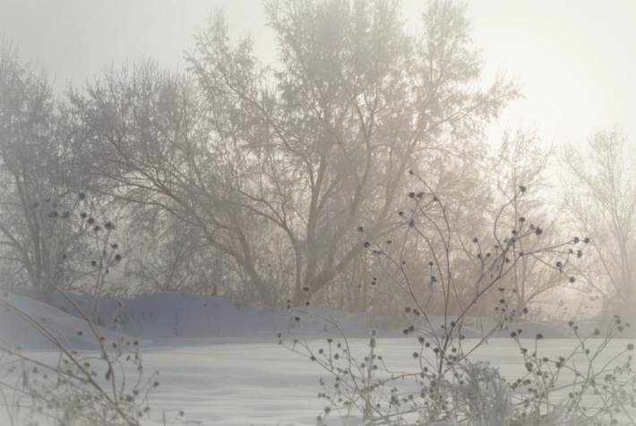 frosty morning, winter