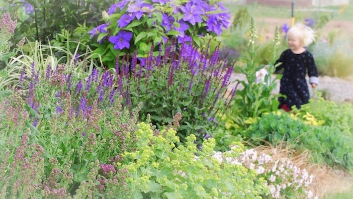 breath between measures: purple garden