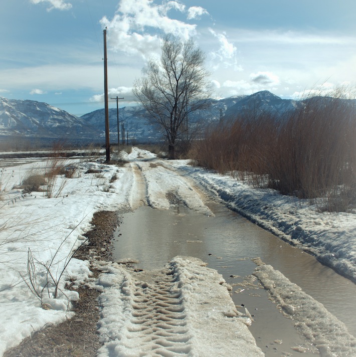 a muddy puddle late winter