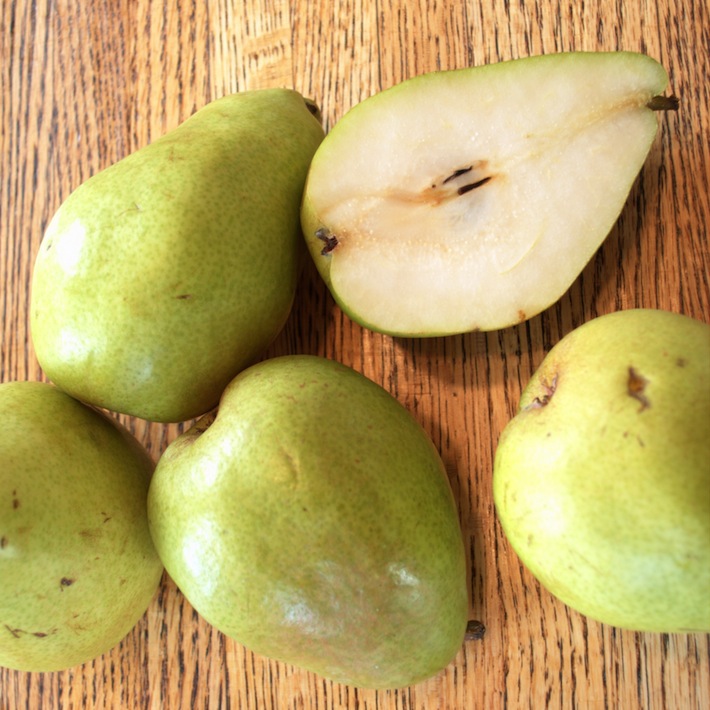 one of my favorites: comice pears