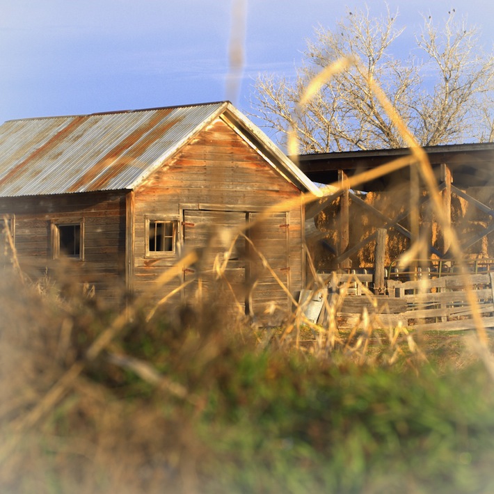 spring on the farm