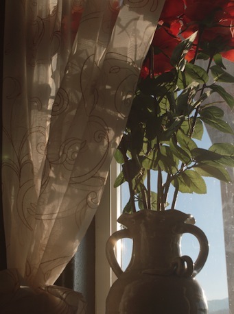 vase in a window, curtain