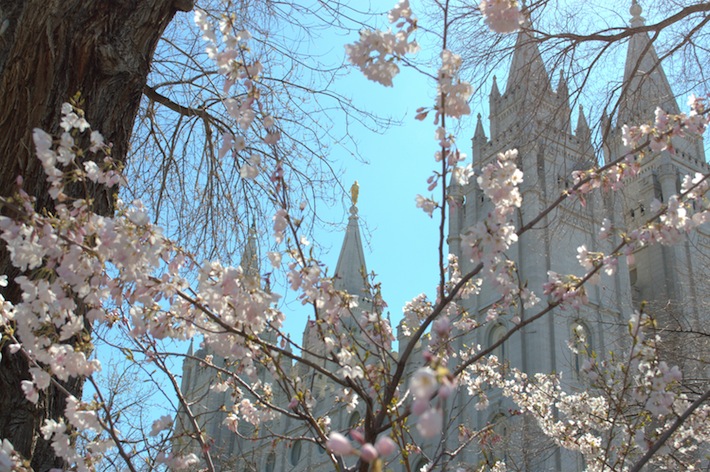 temple spires, spring blossoms