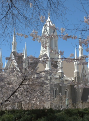 through blossoms, tabernacle