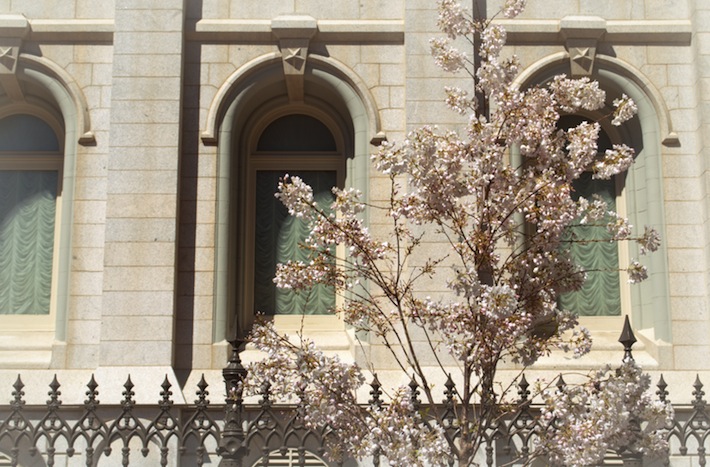 Windows: Salt Lake City Temple