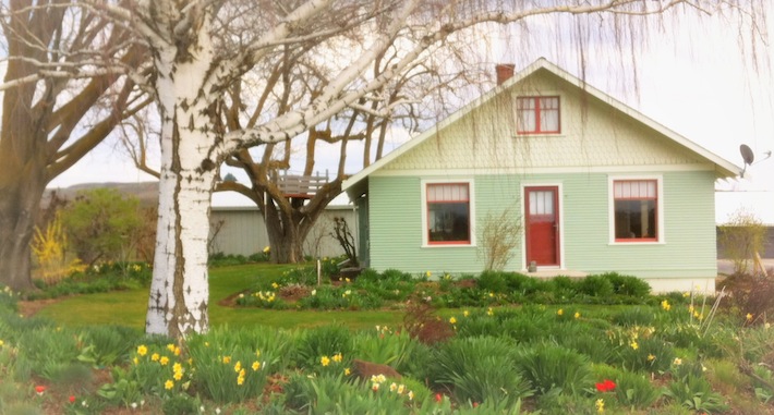 Moxee Farmhouse, Springtime