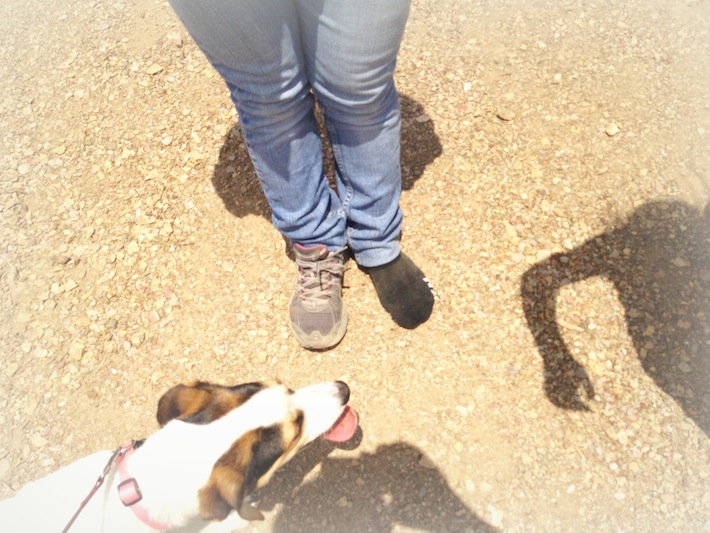 hiking with one shoe and a dog